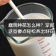 庭院种花怎么种?掌握这些要点轻松养出好花草(图1) 庭院种花怎么种?掌握这些要点轻松养出好花草(图1)