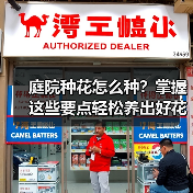 庭院种花怎么种?掌握这些要点轻松养出好花草(图3) 庭院种花怎么种?掌握这些要点轻松养出好花草(图3)