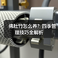 佛肚竹怎么养?四季管理技巧全解析(图1) 佛肚竹怎么养?四季管理技巧全解析(图1)