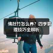 佛肚竹怎么养?四季管理技巧全解析(图4) 佛肚竹怎么养?四季管理技巧全解析(图4)
