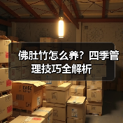 佛肚竹怎么养?四季管理技巧全解析(图3) 佛肚竹怎么养?四季管理技巧全解析(图3)