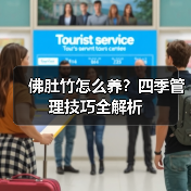 佛肚竹怎么养?四季管理技巧全解析(图2) 佛肚竹怎么养?四季管理技巧全解析(图2)