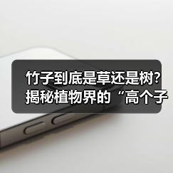 竹子到底是草还是树？揭秘植物界的“高个子草（图4）