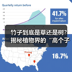 竹子到底是草还是树？揭秘植物界的“高个子草（图3）