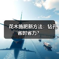 花木施肥新方法:钻孔省时省力?(图2) 花木施肥新方法:钻孔省时省力?(图2)