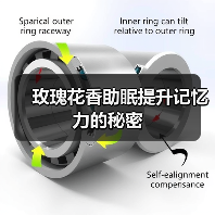 玫瑰花香助眠提升记忆力的秘密（图4）