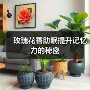 玫瑰花香助眠提升记忆力的秘密（图1）