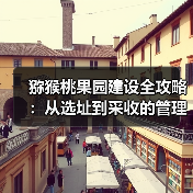 猕猴桃果园建设全攻略：从选址到采收的管理要点（图1）