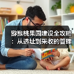 猕猴桃果园建设全攻略：从选址到采收的管理要点（图4）