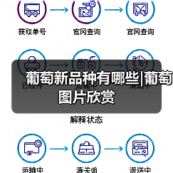 葡萄新品种有哪些|葡萄图片欣赏(图3) 葡萄新品种有哪些|葡萄图片欣赏(图3)