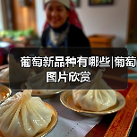 葡萄新品种有哪些|葡萄图片欣赏(图1) 葡萄新品种有哪些|葡萄图片欣赏(图1)