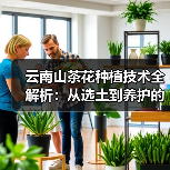 云南山茶花种植技术全解析:从选土到养护的实用指南(图3) 云南山茶花种植技术全解析:从选土到养护的实用指南(图3)