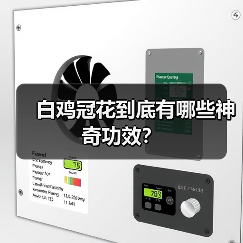 白鸡冠花到底有哪些神奇功效?(图4) 白鸡冠花到底有哪些神奇功效?(图4)