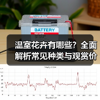 温室花卉有哪些?全面解析常见种类与观赏价值(图1) 温室花卉有哪些?全面解析常见种类与观赏价值(图1)
