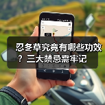 忍冬草究竟有哪些功效?三大禁忌需牢记(图4) 忍冬草究竟有哪些功效?三大禁忌需牢记(图4)