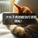 大枫子真的能治疗皮肤病吗?(图4) 大枫子真的能治疗皮肤病吗?(图4)