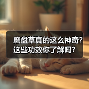 磨盘草真的这么神奇?这些功效你了解吗?(图2) 磨盘草真的这么神奇?这些功效你了解吗?(图2)