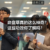 磨盘草真的这么神奇?这些功效你了解吗?(图1) 磨盘草真的这么神奇?这些功效你了解吗?(图1)
