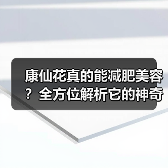 康仙花真的能减肥美容?全方位解析它的神奇功效(图3) 康仙花真的能减肥美容?全方位解析它的神奇功效(图3)