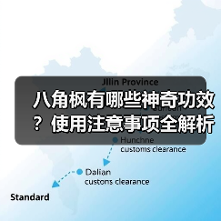 八角枫有哪些神奇功效?使用注意事项全解析(图2) 八角枫有哪些神奇功效?使用注意事项全解析(图2)