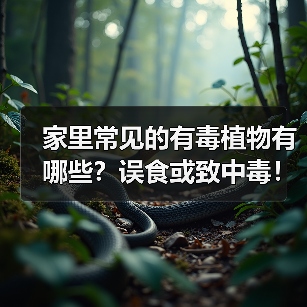家里常见的有毒植物有哪些?误食或致中毒!(图4) 家里常见的有毒植物有哪些?误食或致中毒!(图4)