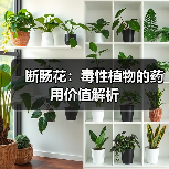 断肠花:毒性植物的药用价值解析(图1) 断肠花:毒性植物的药用价值解析(图1)