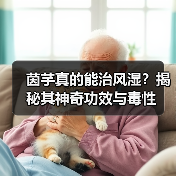 茵芋真的能治风湿?揭秘其神奇功效与毒性(图2) 茵芋真的能治风湿?揭秘其神奇功效与毒性(图2)