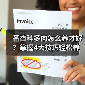 番杏科多肉怎么养才好?掌握4大技巧轻松养护(图3) 番杏科多肉怎么养才好?掌握4大技巧轻松养护(图3)