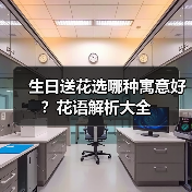 生日送花选哪种寓意好?花语解析大全(图3) 生日送花选哪种寓意好?花语解析大全(图3)