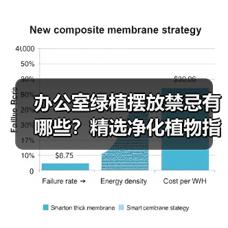 办公室绿植摆放禁忌有哪些?精选净化植物指南(图3) 办公室绿植摆放禁忌有哪些?精选净化植物指南(图3)