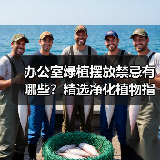 办公室绿植摆放禁忌有哪些?精选净化植物指南(图4) 办公室绿植摆放禁忌有哪些?精选净化植物指南(图4)