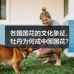 各国国花的文化象征,牡丹为何成中国国花?(图3) 各国国花的文化象征,牡丹为何成中国国花?(图3)