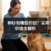 柳杉有哪些价值?实用价值全解析(图1) 柳杉有哪些价值?实用价值全解析(图1)