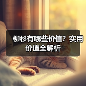 柳杉有哪些价值?实用价值全解析(图4) 柳杉有哪些价值?实用价值全解析(图4)