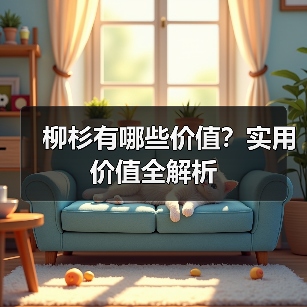 柳杉有哪些价值?实用价值全解析(图2) 柳杉有哪些价值?实用价值全解析(图2)