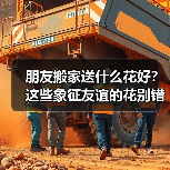 朋友搬家送什么花好?这些象征友谊的花别错过(图3) 朋友搬家送什么花好?这些象征友谊的花别错过(图3)