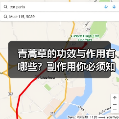 青蒿草的功效与作用有哪些?副作用你必须知道(图2) 青蒿草的功效与作用有哪些?副作用你必须知道(图2)