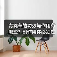 青蒿草的功效与作用有哪些?副作用你必须知道(图4) 青蒿草的功效与作用有哪些?副作用你必须知道(图4)