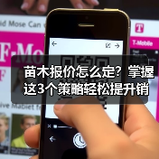 苗木报价怎么定?掌握这3个策略轻松提升销量(图2) 苗木报价怎么定?掌握这3个策略轻松提升销量(图2)