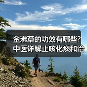 金沸草的功效有哪些?中医详解止咳化痰和治疗关节疼痛的应用(图2) 金沸草的功效有哪些?中医详解止咳化痰和治疗关节疼痛的应用(图2)