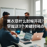 薰衣草什么时候开花?掌握这3个关键时间点(图1) 薰衣草什么时候开花?掌握这3个关键时间点(图1)