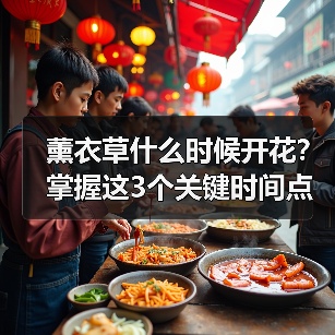 薰衣草什么时候开花?掌握这3个关键时间点(图4) 薰衣草什么时候开花?掌握这3个关键时间点(图4)
