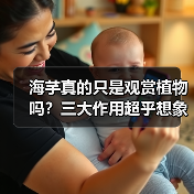 海芋真的只是观赏植物吗？三大作用超乎想象（图4）