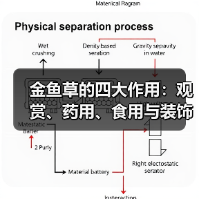 金鱼草的四大作用:观赏、药用、食用与装饰全解析(图4) 金鱼草的四大作用:观赏、药用、食用与装饰全解析(图4)