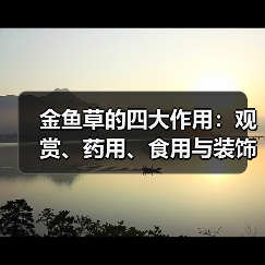 金鱼草的四大作用:观赏、药用、食用与装饰全解析(图3) 金鱼草的四大作用:观赏、药用、食用与装饰全解析(图3)