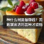 种什么树苗最赚钱？因地制宜选对品种才能稳赚（图2）