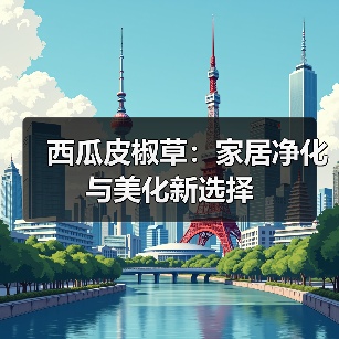 西瓜皮椒草:家居净化与美化新选择(图2) 西瓜皮椒草:家居净化与美化新选择(图2)