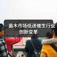 苗木市场低迷催生行业创新变革(图4) 苗木市场低迷催生行业创新变革(图4)