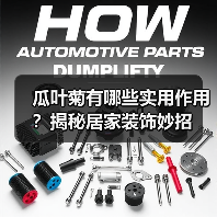 瓜叶菊有哪些实用作用?揭秘居家装饰妙招(图1) 瓜叶菊有哪些实用作用?揭秘居家装饰妙招(图1)