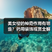 美女樱的神奇作用有哪些?药用装饰观赏全解析(图3) 美女樱的神奇作用有哪些?药用装饰观赏全解析(图3)